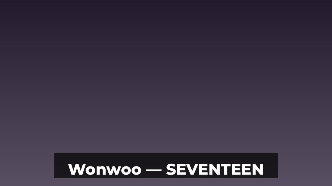 Wonwoo (SEVENTEEN) : Profil, Histoire et Faits